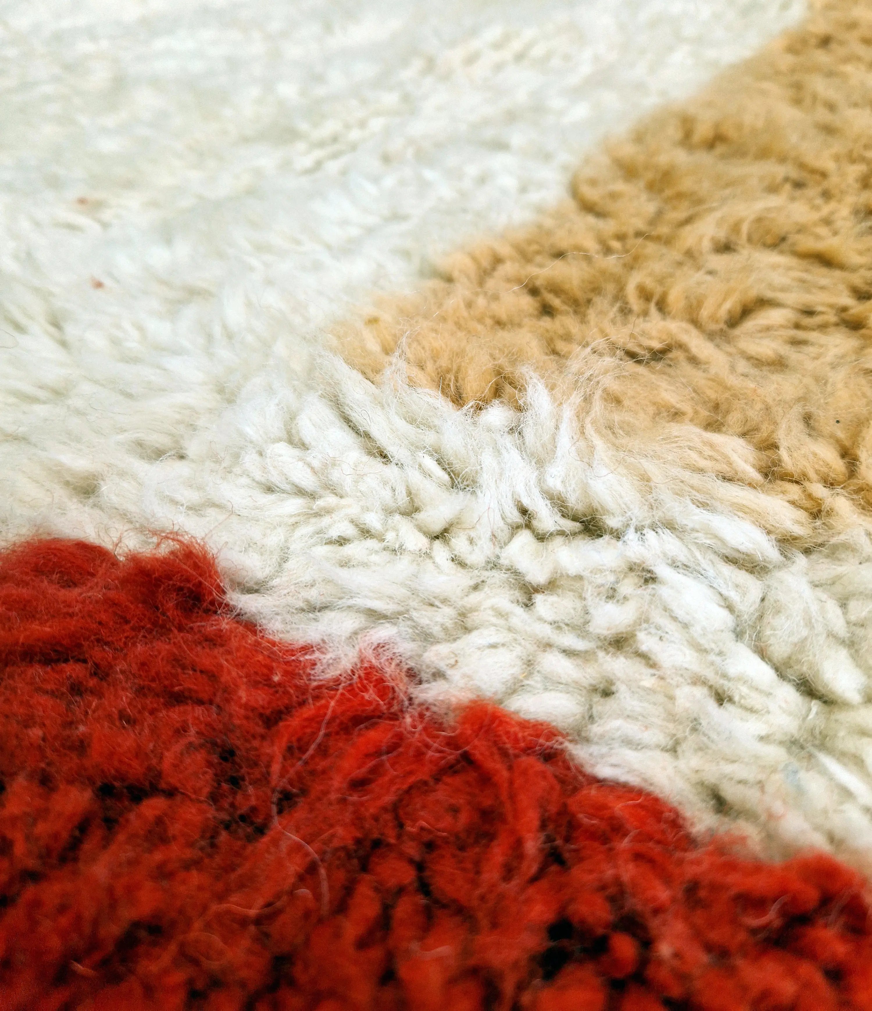 Tapis Béni Ouarain coloré 220 x 310 cm en laine