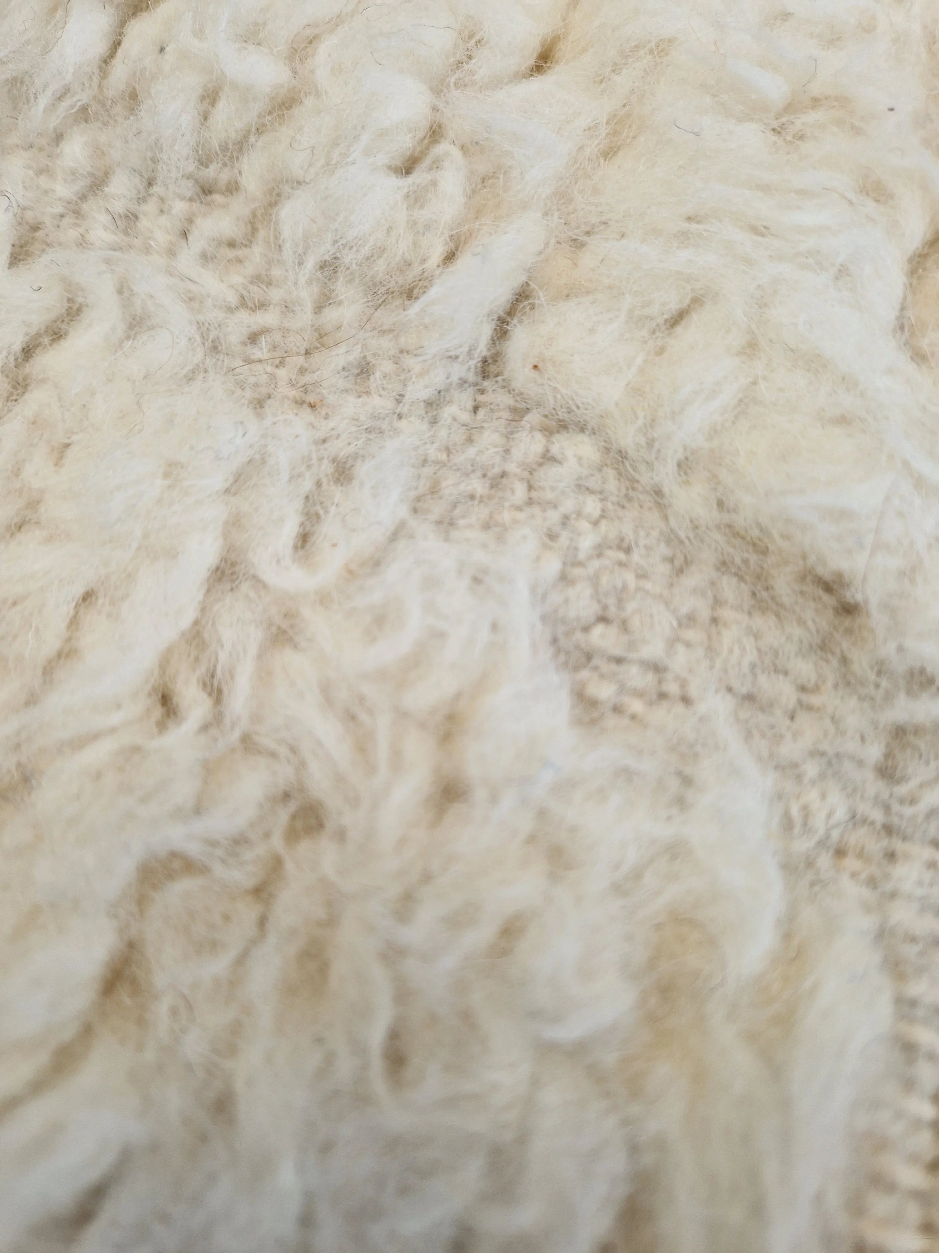 Tapis traditionnel marocain, de la tribu Beni Ouarain, beige ivoire, aux motifs de losange en relief, fait à la main, 100% en laine naturelle